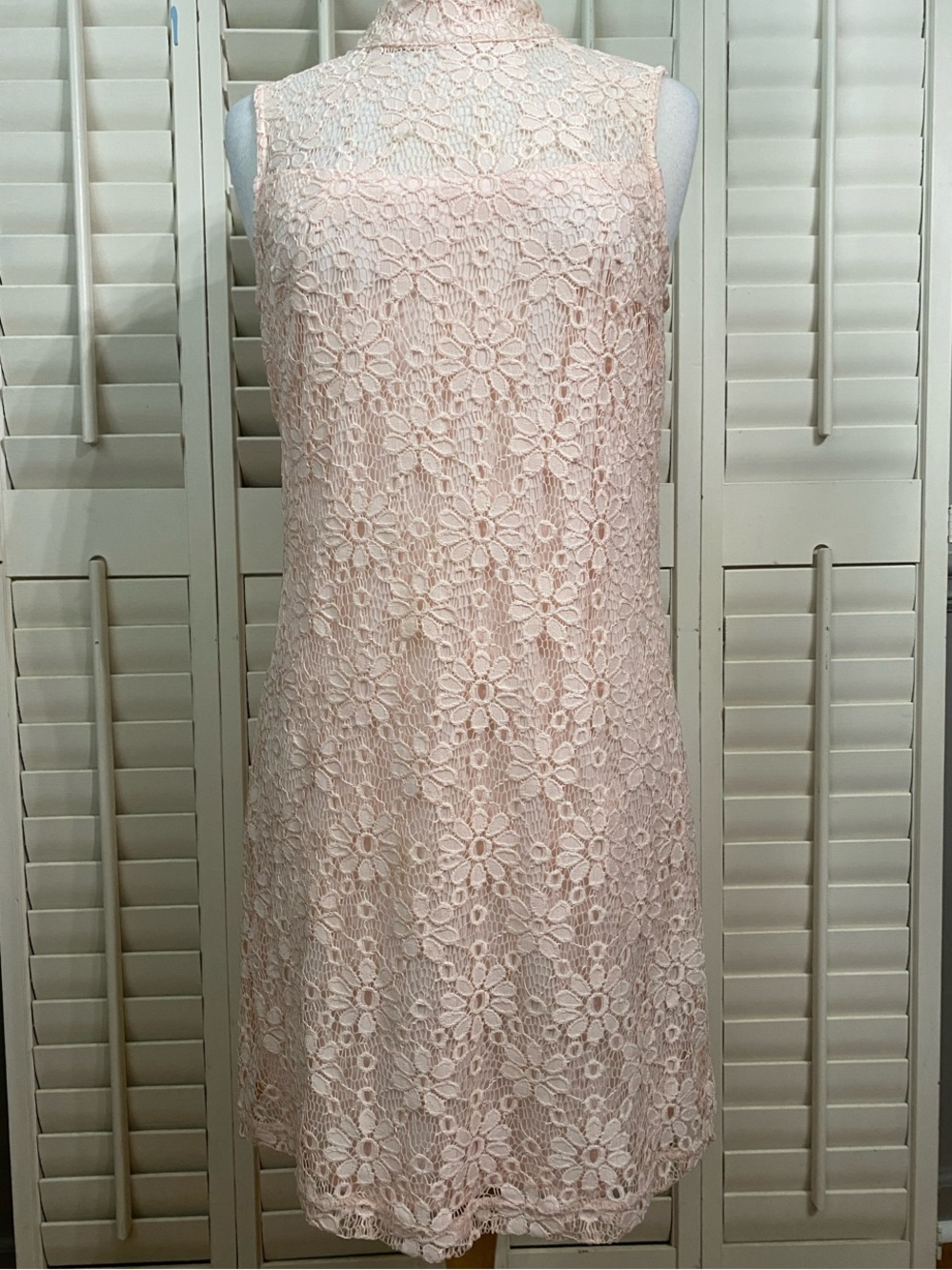 Sharagano Blush Floral Lace Sleeveless Mini Dress